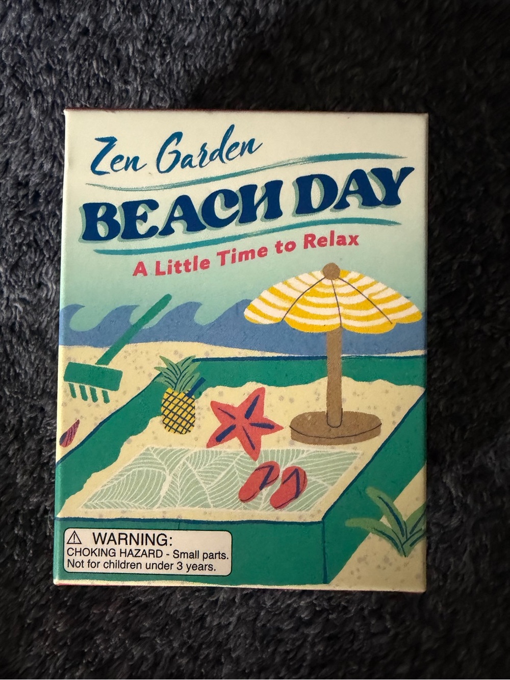 Mini Zen Garden-Beach Day